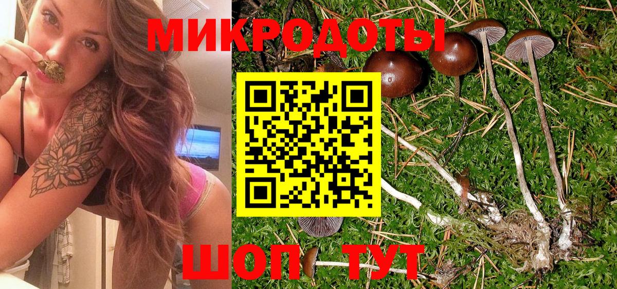Шатура  Псилоцибиновые грибы Psilocybe  Вход с VPN 